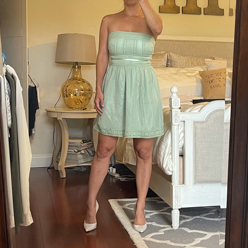 Espresso Brand Milt Lace Dress